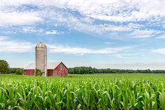 Agriculture, Farm and Livestock +
