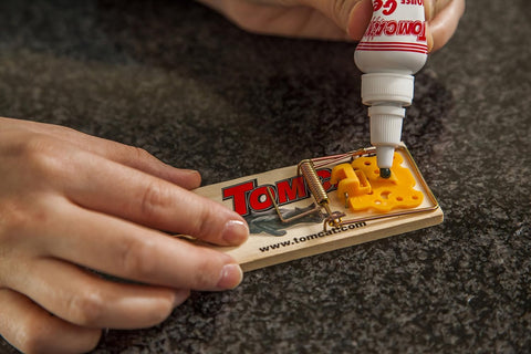 Tomcat 0362210 Mouse Trap Attractant Gel - Quantity of 4