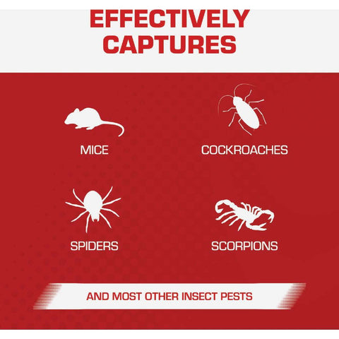 Tomcat 0362310 4-Count Pack of Professional Strength Sticky Mouse Glue Traps