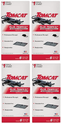 Tomcat 0362610 6-Pack Professional Strength Ready to Use Mouse Glue Traps - Quantity of 4