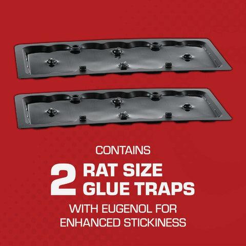 Tomcat 0362810 2-Pack Ready to Use Mouse & Rat Glue Traps - Quantity of 6