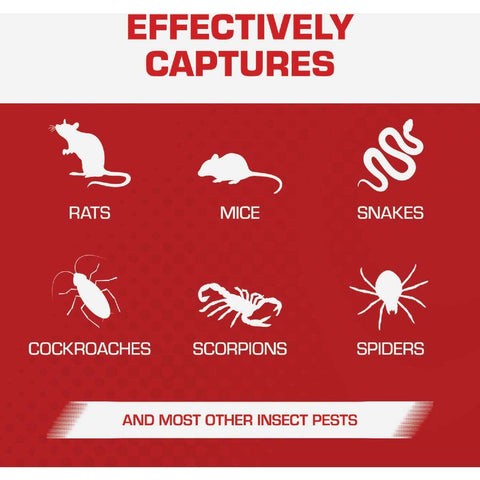 Tomcat 0362810 2-Pack Ready to Use Mouse & Rat Glue Traps - Quantity of 6