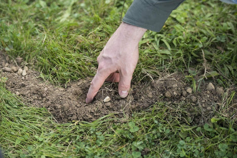 Tomcat 0372310 10-Pack Worm-Shaped Mole Killer - Quantity of 3