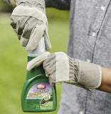Ortho 0396415 16 oz Bottle of Weed B Gon Chickweed Clover Oxalis Lawn Weed Killer Concentrate