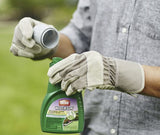 Ortho 0396415 16 oz Bottle of Weed B Gon Chickweed Clover Oxalis Lawn Weed Killer Concentrate