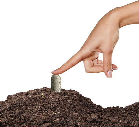 Jobe's 04101 10-Pack Azalea, Camellia, Rhododendron Fertilizer Spikes - Quantity of 2