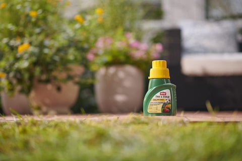 Ortho 0424315 16 oz Bottle of Fruit Tree Insect & Disease and Mite Control Spray