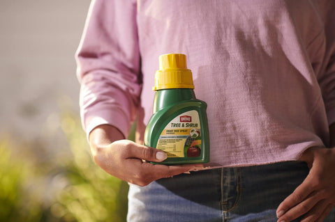 Ortho 0424315 16 oz Bottle of Fruit Tree Insect & Disease and Mite Control Spray