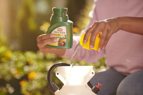 Ortho 0424315 16 oz Bottle of Fruit Tree Insect & Disease and Mite Control Spray