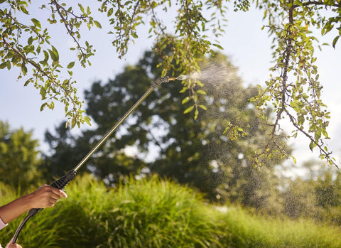 Ortho 0424315 16 oz Bottle of Fruit Tree Insect & Disease and Mite Control Spray