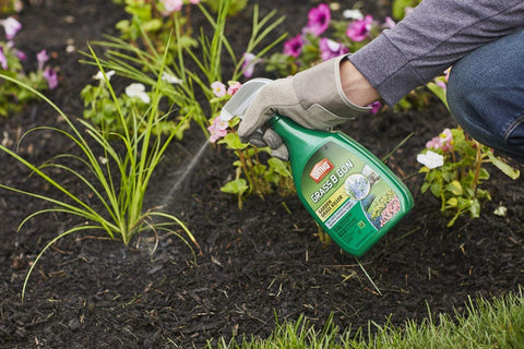 Ortho 0438580 24 oz Ready To Use Grass B Gon Garden Grass Killer Spray - Quantity of 4