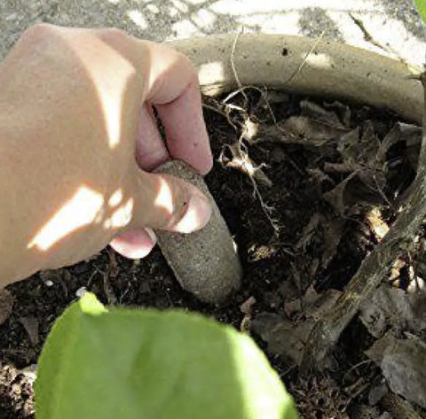 Jobe's 06005 18 Pack 6-18-6 Tomato Fertilizer / Food Spikes - Quantity of 12