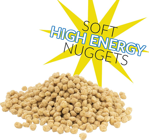 C&S 06109 27 oz Woodpecker Suet Nuggets Wild Bird Food