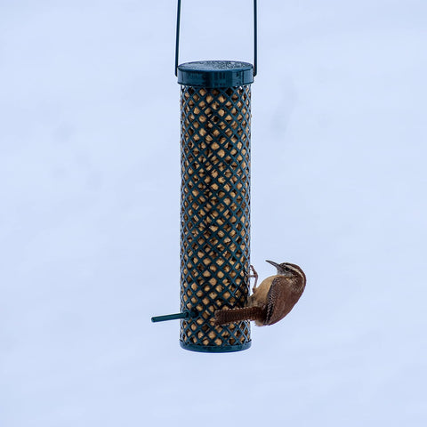 C&S 06109 27 oz Woodpecker Suet Nuggets Wild Bird Food