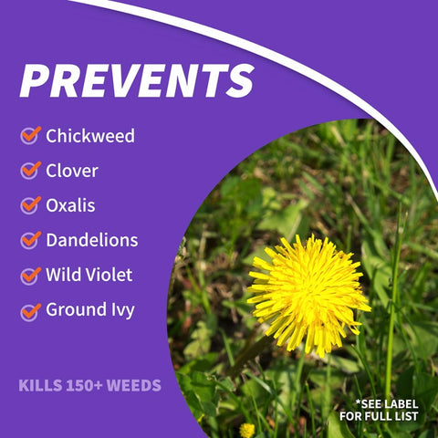 Bonide 061 16 oz Bottle of Concentrate Chickweed Clover & Oxalis Killer