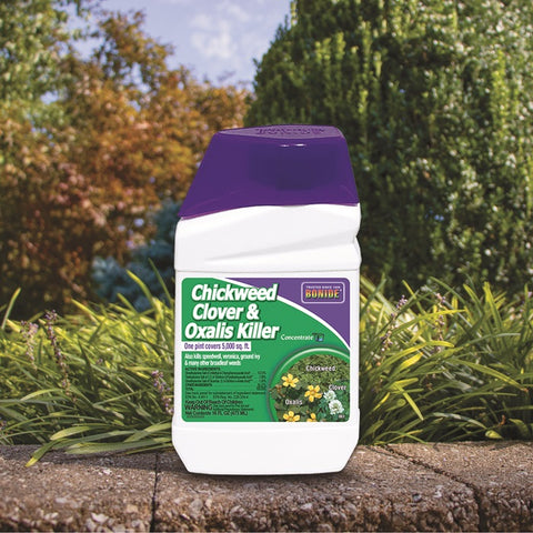 Bonide 061 16 oz Bottle of Concentrate Chickweed Clover & Oxalis Killer