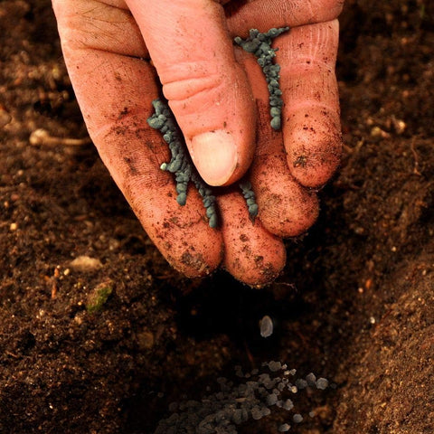 Jobe's 09026 4 LB Bag of 2-7-4 Organic Vegetable & Tomato Plant Food Fertilizer