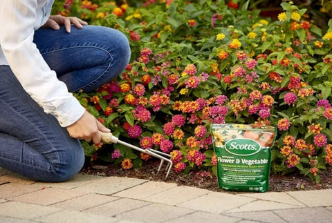 Scotts 1009001 3 LB Bag Of 10-10-10 Flower & Vegetable Plant Food - Quantity of 3