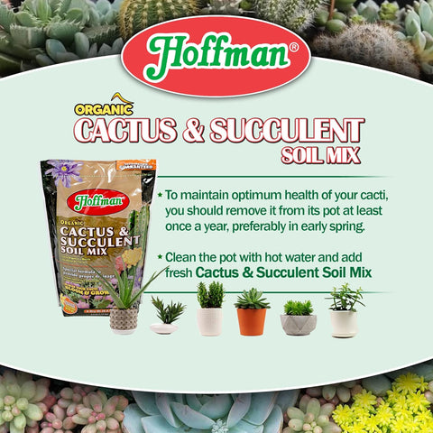 Hoffman 10404 4 Quart Organic Cactus & Succulent Potting Soil Mix - Quantity of 12