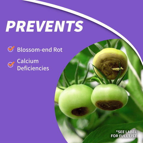 Bonide 1676 32 oz Bottle of Rot-Stop Tomato Blossom End Rot Ready To Use Spray