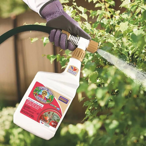 Bonide 255 32 oz RTS Bottle of Captain Jack's Deadbug Brew Spinosad Garden Insect Control Spray