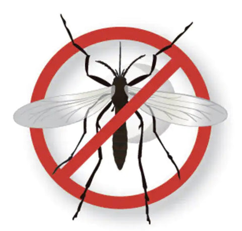 Burgess Black Flag 190256 64 oz Mosquito / Fly Insect Fogger Fogging Insecticide - Quantity of 6