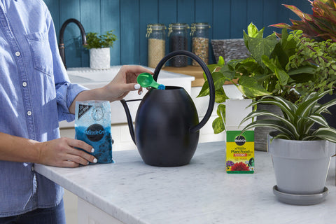 Scotts Miracle Gro 2000992 8 oz Water Soluble All Purpose Plant Food - Quantity of 2