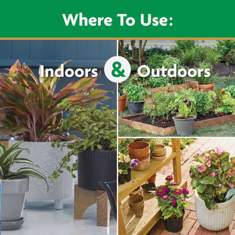 Scotts Miracle Gro 2000992 8 oz Water Soluble All Purpose Plant Food - Quantity of 3