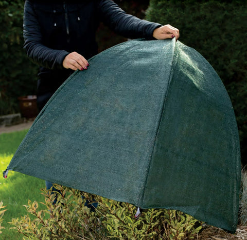 NuVue 20253 36" x 36" x 40" Green Frost Proof Winter Shrub Protector Cover - Quantity of 8