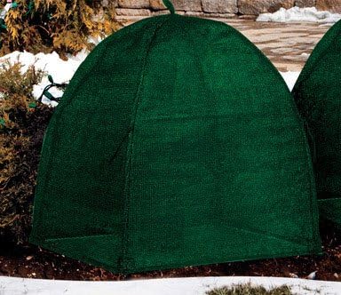 NuVue 20253 36" x 36" x 40" Green Frost Proof Winter Shrub Protector Cover - Quantity of 8