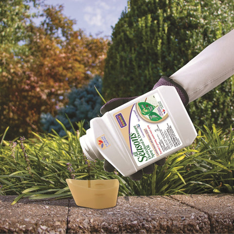 Bonide 2116 32 oz Bottle of Concentrate All Seasons Horticultural Dormant Insecticide Spray Oil