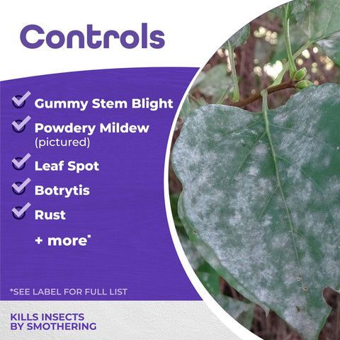 Bonide 2116 32 oz Bottle of Concentrate All Seasons Horticultural Dormant Insecticide Spray Oil