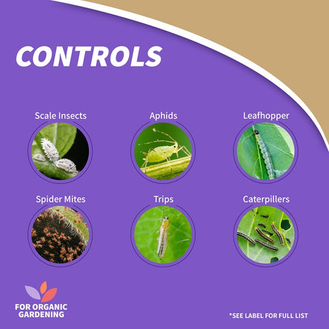 Bonide 214 1-Quart Spray Bottle of All Seasons Horticultural Spray Oil - Quantity of 2