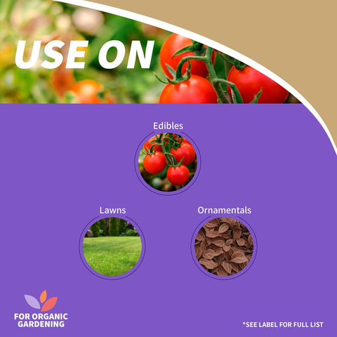 Bonide 255 32 oz RTS Bottle of Captain Jack's Deadbug Brew Spinosad Garden Insect Control Spray