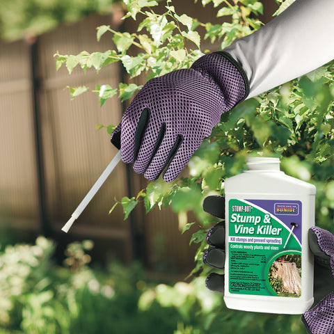 Bonide 2746 8 oz Bottle Of Concentrate Liquid Stump and Vine / Woody Plant Control - Quantity of 24
