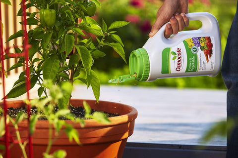 Osmocote 277860 4.5 LB Container of 14-14-14 Timed Release Flower & Vegetable Plant Food Fertilizer