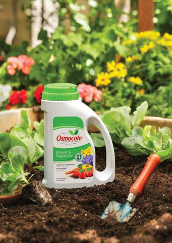 Osmocote 277860 4.5 LB Container of 14-14-14 Timed Release Flower & Vegetable Plant Food Fertilizer