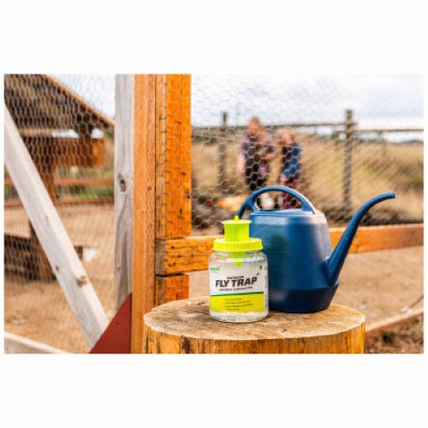 Rescue FTR-DT12 Reusable Ready To Use Non-Toxic Fly Trap - Quantity of 10