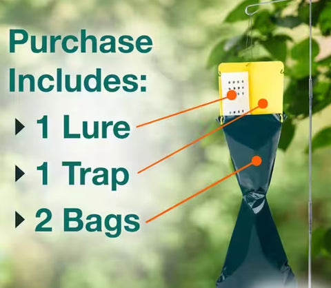 Safer 70102 Non-Toxic Garden Japanese Beetle Trap - Quantity of 6