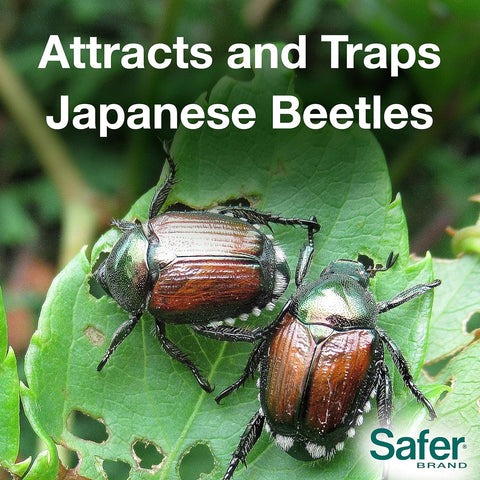 Safer 70102 Non-Toxic Garden Japanese Beetle Trap - Quantity of 6