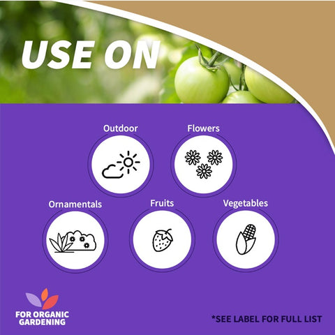 Bonide 7756 32 oz Bottle of Captain Jack's Organic Liquid Copper Fungicide Plant Spray