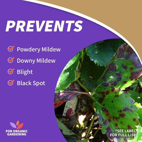 Bonide 7756 32 oz Bottle of Captain Jack's Organic Liquid Copper Fungicide Plant Spray