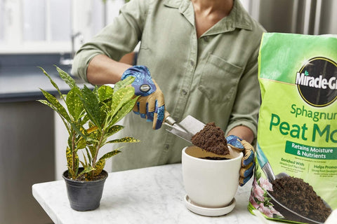 Miracle-Gro 85278430 8 Quart Bag of Sphagnum Peat Moss - Quantity of 12