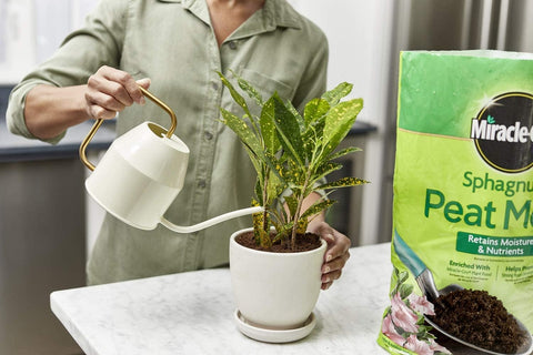 Miracle-Gro 85278430 8 Quart Bag of Sphagnum Peat Moss - Quantity of 6