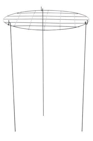 Panacea Products 89323GT 20" x 14" Green Steel Plant Support Grow Thru Ring - Quantity of 4