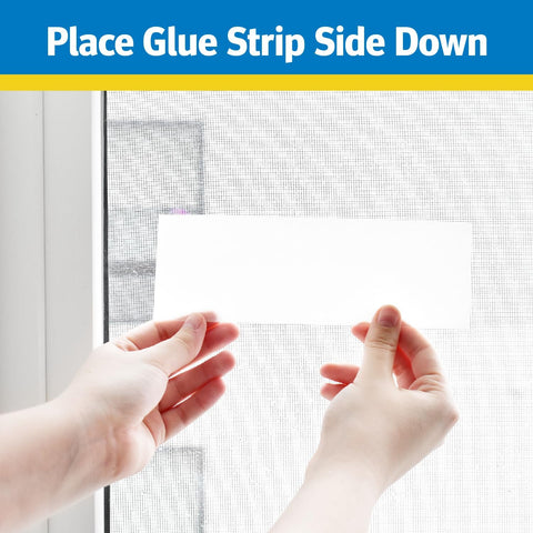 Raid 8PK-FTRP RAID 8-Count Disposable Window Fly Traps - Quantity of 2