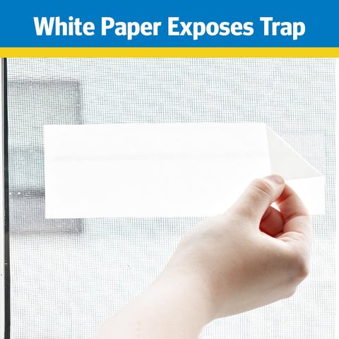 Raid 8PK-FTRP RAID 8-Count Disposable Window Fly Traps - Quantity of 2