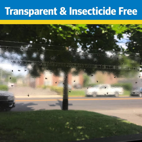 Raid 8PK-FTRP RAID 8-Count Disposable Window Fly Traps - Quantity of 2