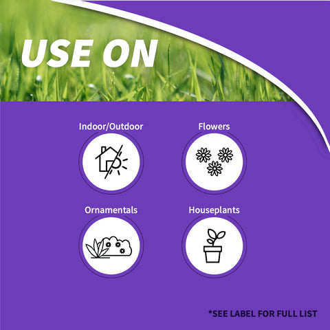 Bonide 951 8 oz Systemic Houseplant Mealybug Insect Control Granules - Quantity of 2