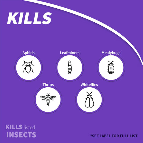 Bonide 951 8 oz Systemic Houseplant Mealybug Insect Control Granules - Quantity of 2